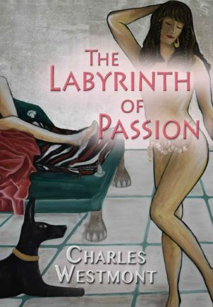 [The Labyrinth of Passion 01] • The Labyrinth of Passion (Romantic Experiences)